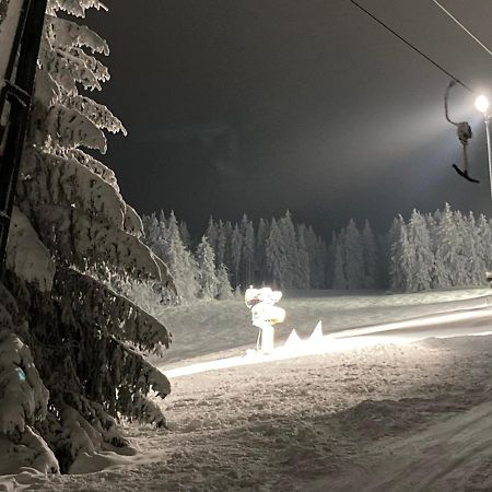 Fewo Jaeger Willingen  Dış mekan fotoğraf