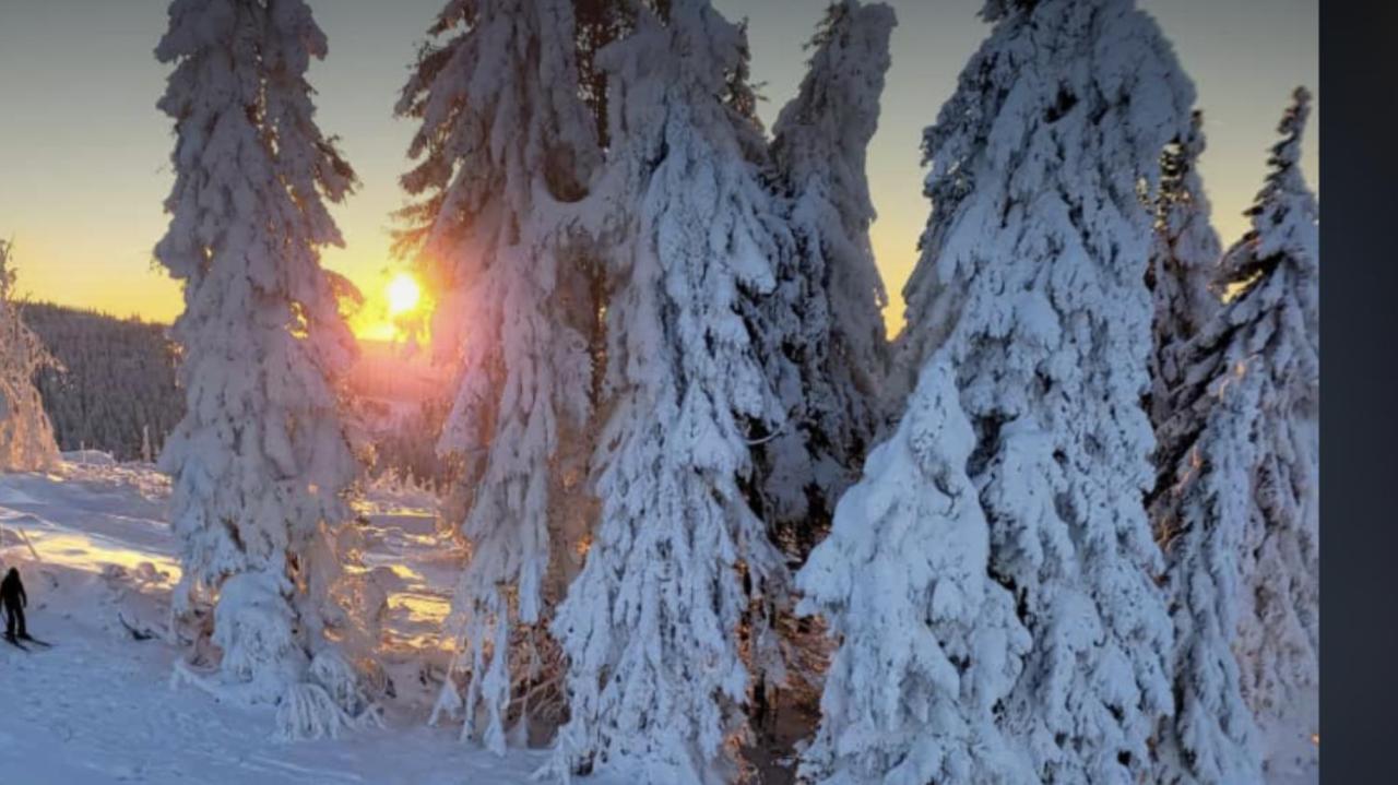 Fewo Jaeger Willingen  Dış mekan fotoğraf
